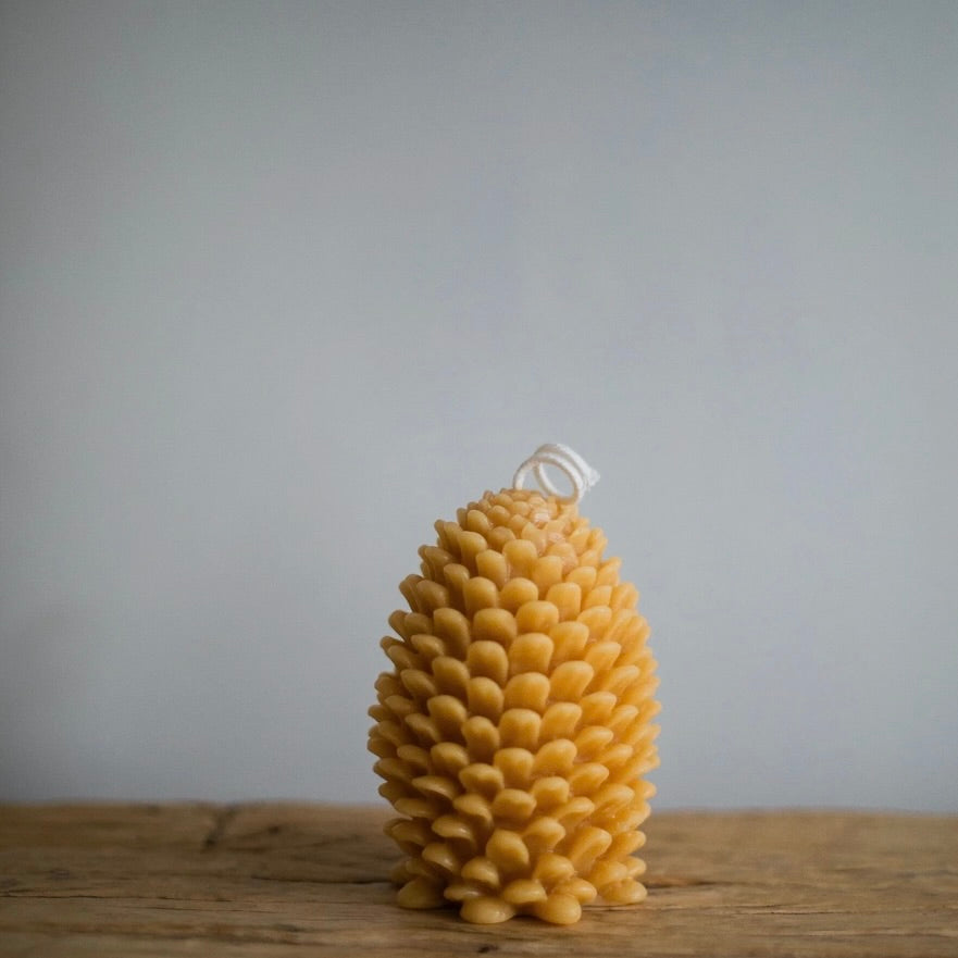 Pinecone Beeswax Candle