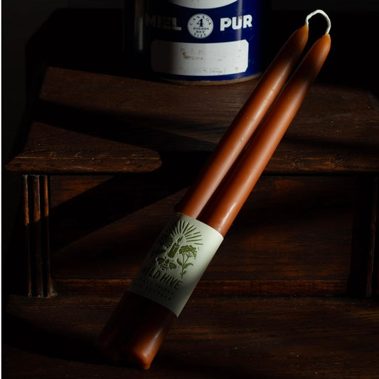 10" Terra Cotta Beeswax Taper Candles